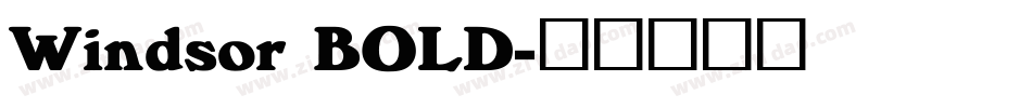 Windsor BOLD字体转换